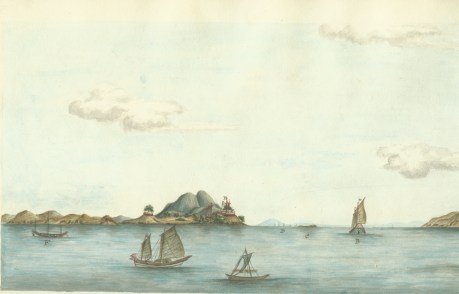 log_lion_bocca_tigrisMA10667395-0001